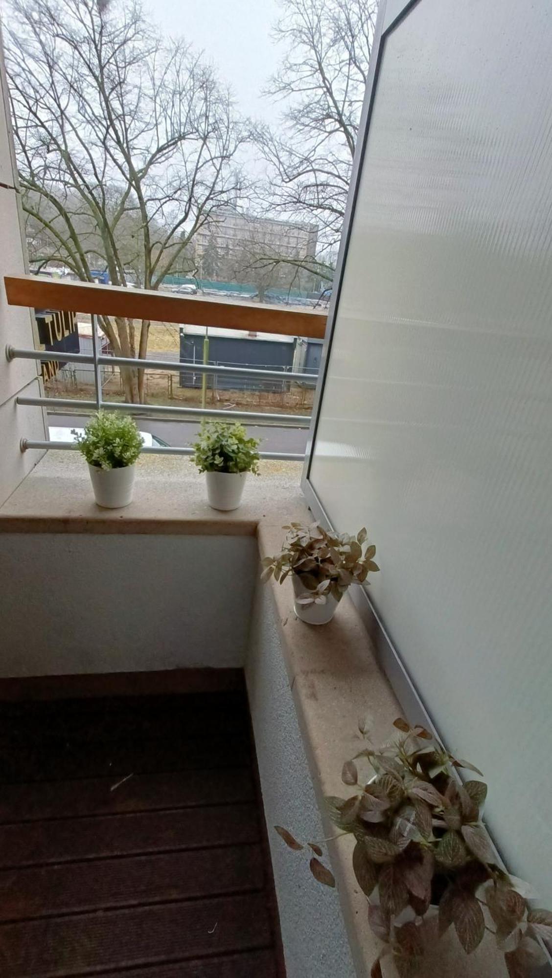 120 W 5 Gwiazdowym Royal Tulip Sand 200 M Od Plazy Dobruk Apartamenty Kołobrzeg Exteriör bild